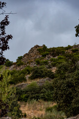 clouds over the forest
