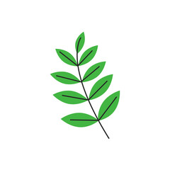 Obraz premium Green autumn leaves with veins. Fall rowan foliage season. Decorative botanical item. Simple single sorb tree branch silhouette. Hand drawn flat vector illustration isolated on white background