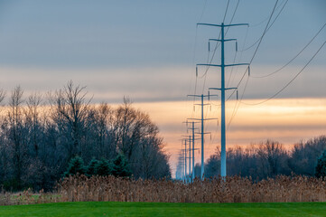 Power Poles and  Lines Across The Marsh