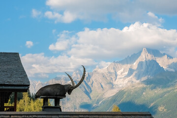 Alpine ibex, goats with long horns, perch on the roofs of houses