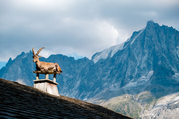 Alpine ibex, goats with long horns, perch on the roofs of houses - Powered by Adobe