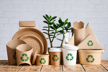 Indoor green plant and eco-friendly paper tableware with recycling signs. The concept of zero waste...