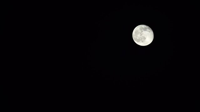 Lockdown Beautiful View Of Super Moon At Night - Santa Monica, California