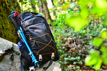 Trekking Backpack inside a wood