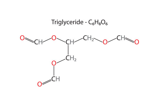 Triglyceride Molecule