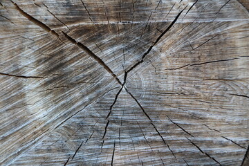 Wood and naturel patterns