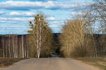 An old asphalt road without cars in the countryside along the forest. Beautiful autumn landscape in nature. Poor road quality for logistics and cargo transportation.