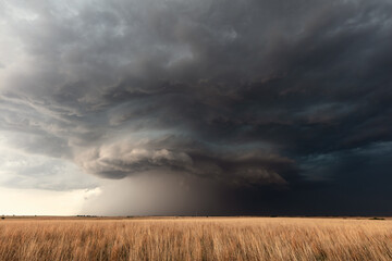 Supercell storm clouds over a wheat field