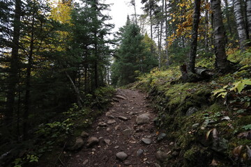 Fototapeta premium Autumn Scenery in Minnesota