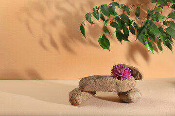 Minimal abstract background for the presentation of cosmetic products. Premium empty podium with...