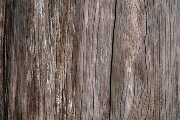 Texture of a tree trunk. Old dry wood that's been exposed to the elements for many years, shows a lot of weathering, texture, wood grain and cracks. Natural timber. Natural wood surface.