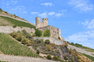 Fototapeta premium Burgruine am Rhein