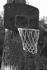basketball hoop and net