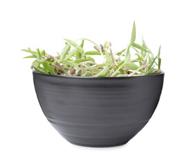 Mung bean sprouts in black bowl isolated on white