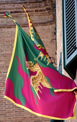 Fahne der Contrade Drachen (Drago)