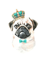 Watercolor Pug illustration, cute dog breed, funny character, cartoon dog in costume,clothes, accessories, hat, poster, card, invite, print,printable diy	
