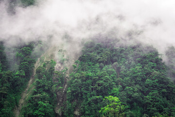 Fototapeta na wymiar views of foggy day at mountains