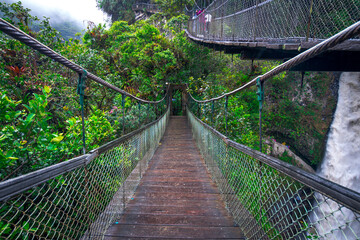 Fototapeta na wymiar suspension bridge in the forest