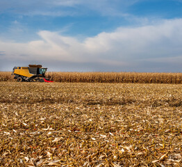 combine harvester working in a corn field during harvest