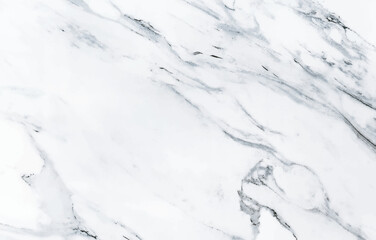 White marble texture background. Vector illustration
