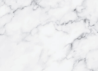 White marble texture background. Vector illustration