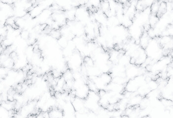 White marble texture background. Vector illustration