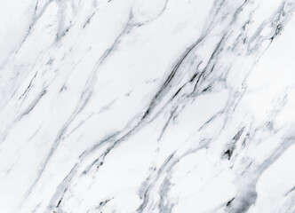 White marble texture background. Vector illustration