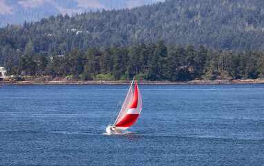 Sailboat in Canadian Landscape by the ocean and mountains. Summer Season. Gulf Islands near Vancouver Island, British Columbia, Canada. Canadian Landscape.