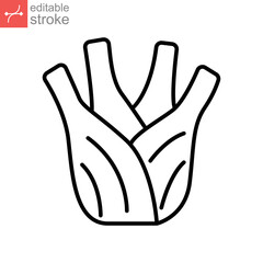 Fennel root icon. Fresh nature bulb, Organic healthy vegetable food. Spicy herbs and spices for natural. outline style. editable stroke. vector illustration. design on white background. EPS 10