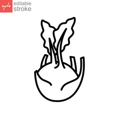kohlrabi icon. fresh nature organic vegetable food. biennial vegetable stout cultivar of raw root Cabbage turnip outline style editable stroke vector illustration design on white background EPS 10