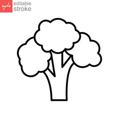 Broccoli icon. Nature vegetable organic food nutrition. Fresh healthy garden harvest. cabbage, cauliflower editable stroke outline style pictogram vector illustration design on white background EPS 10