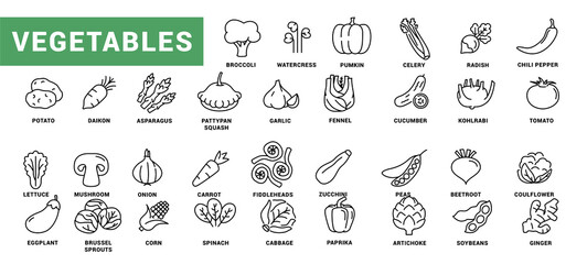 Vegetable icon set. Minimal thin line style. Outline icons collection vegetables zucchini, tomato, radish, mushroom, ginger, broccoli, corn daikon Vector illustration Design on white background EPS 10