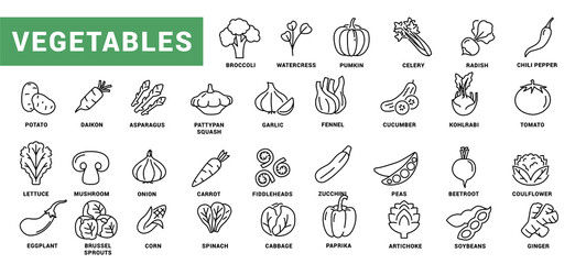 Vegetable icon set. Minimal thin line style. Outline icons collection vegetables eggplant, tomato, radish, mushroom, ginger, broccoli, corn daikon Vector illustration Design on white background EPS 10