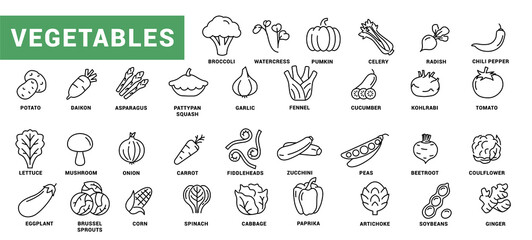 Vegetable icon set. Minimal thin line style. Outline icons collection vegetables zucchini, tomato, radish, mushroom, ginger, fennel, corn, celery. Vector illustration Design on white background EPS 10