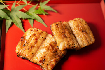 うなぎのかば焼き  日本料理