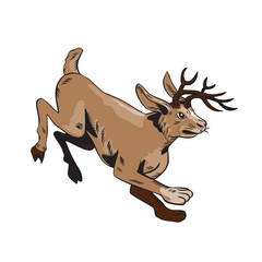 Obraz premium Jacklope Jumping Side Etching