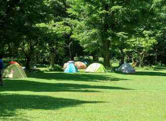 日本の北アルプスのキャンプ場 - obrazy, fototapety, plakaty