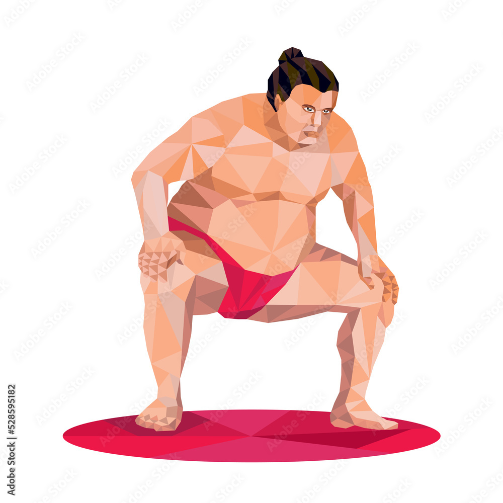 Wall mural Japanese Sumo Wrestler Squat Low Polygon