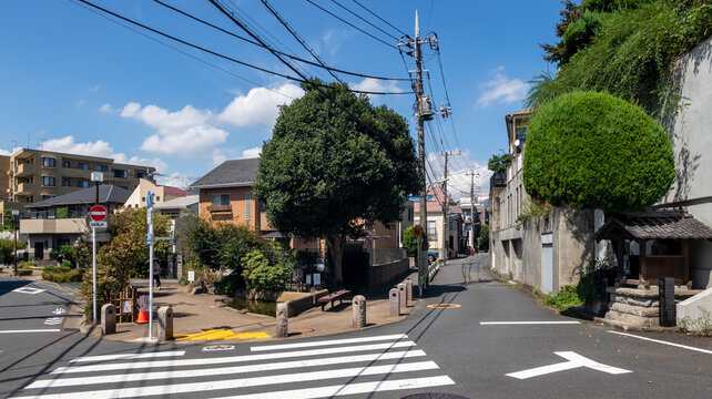 樹々がある路地