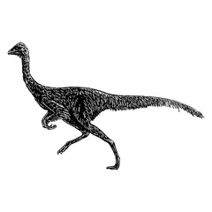 Ornithomimus hand drawing vector illustration isolated on background