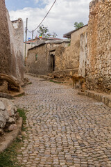 Narrow alleys in the Old town in Harar, Ethiopia