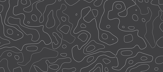 Decorative topo graphic map seamless pattern. Vector. Landscape Topographical Map Line with Mountain Texture Background Pattern. illustration