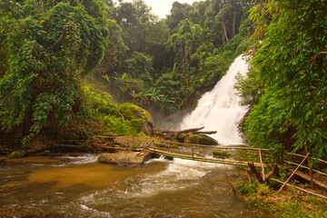 The scenery of trees, waterfall, and bamboo bridge from north of Thailand.