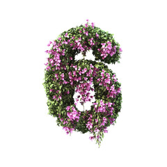 3d rendering of Bougainvillea number set 2
