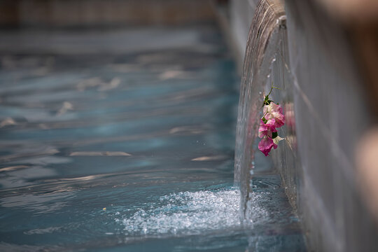 Sideview Of Flowers Behind Pool Waterfall