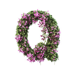 3d rendering of Bougainvillea alphabet set 2	
