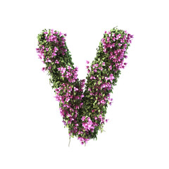 3d rendering of Bougainvillea alphabet set 2	
