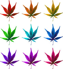 Painterly Leaves - Maple 004