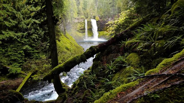 Aerial shot of the amazing Koosah Falls and lush moss covered forest on the McKenzie River in Oregon.