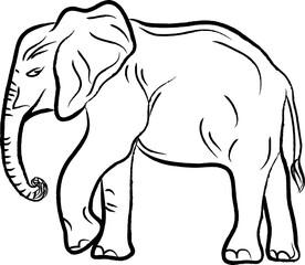 Fototapeta premium elephant illustration